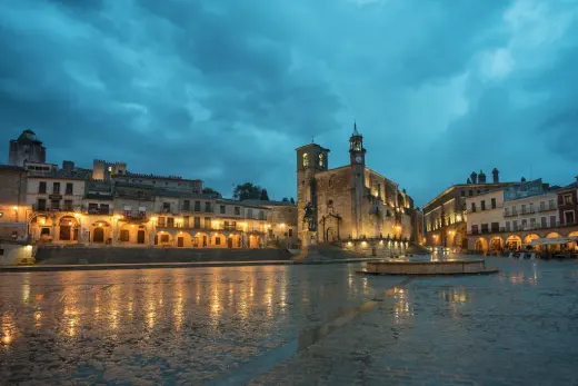 Guadalupe Parron Bravo