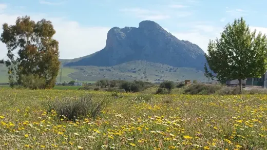 Rivadis Higiene Profesional