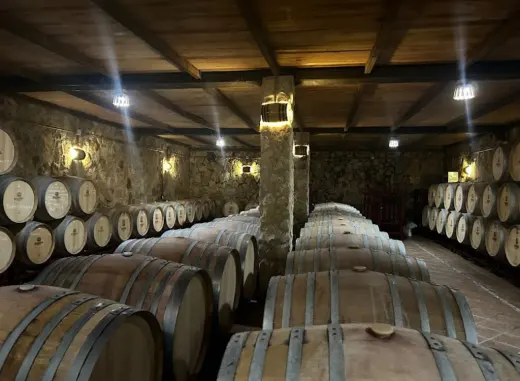 Delampa - Bodegas Jumilla