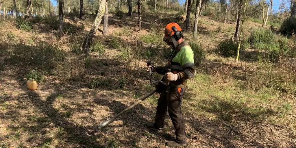 Limpieza de parcelas FORESTAL SILVESTRE S.L