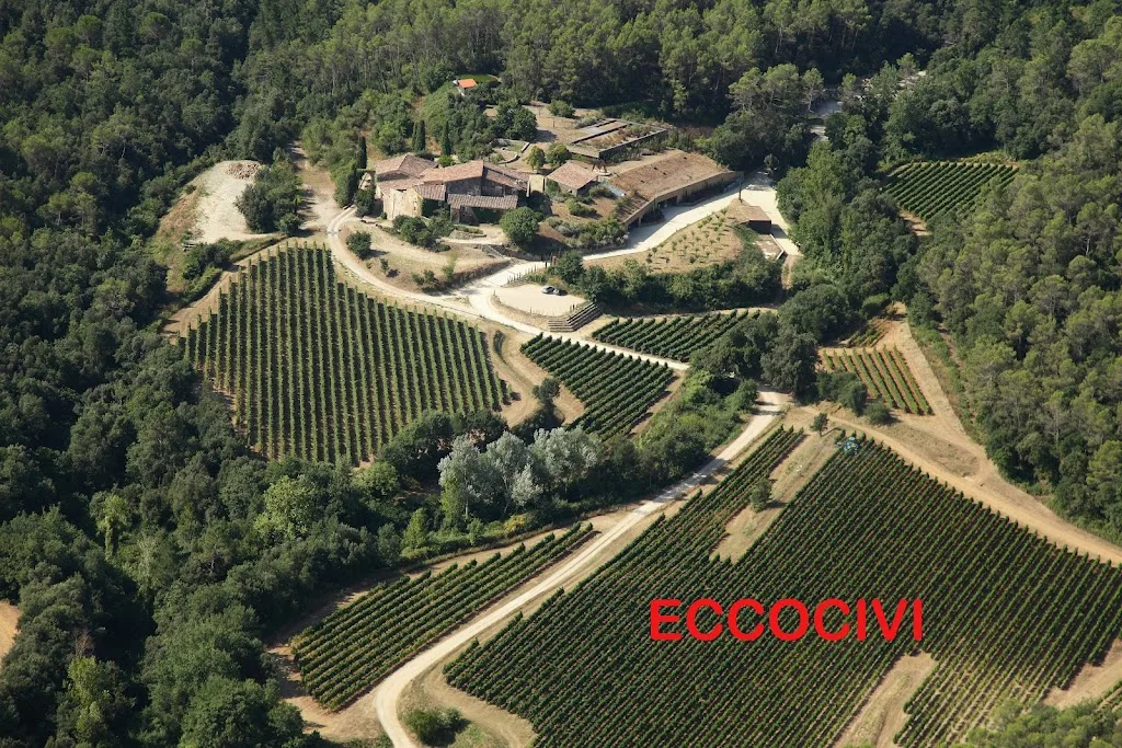 Eccociwine